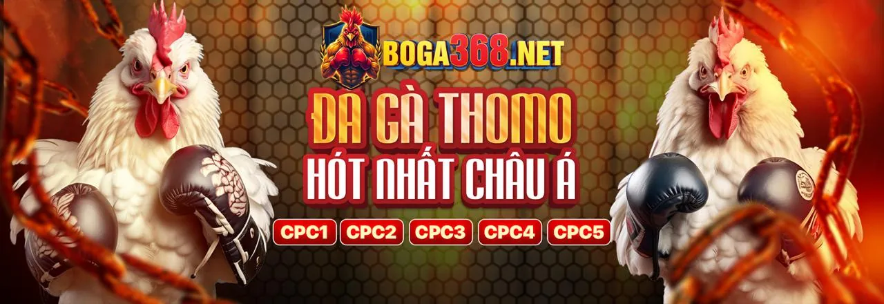 Đấu trường đá gà trực tuyến 3win nổ hũ